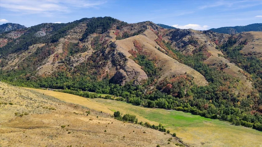 Expansive natural landscape featuring rolling hills, varied foliage, and a clear blue sky