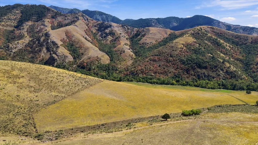 Expansive mountain range backdrop with varied foliage