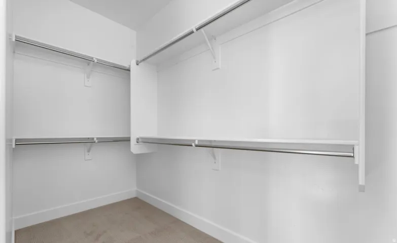 Wardrobe featuring built-in shelving, chrome hanging rods, and carpet flooring