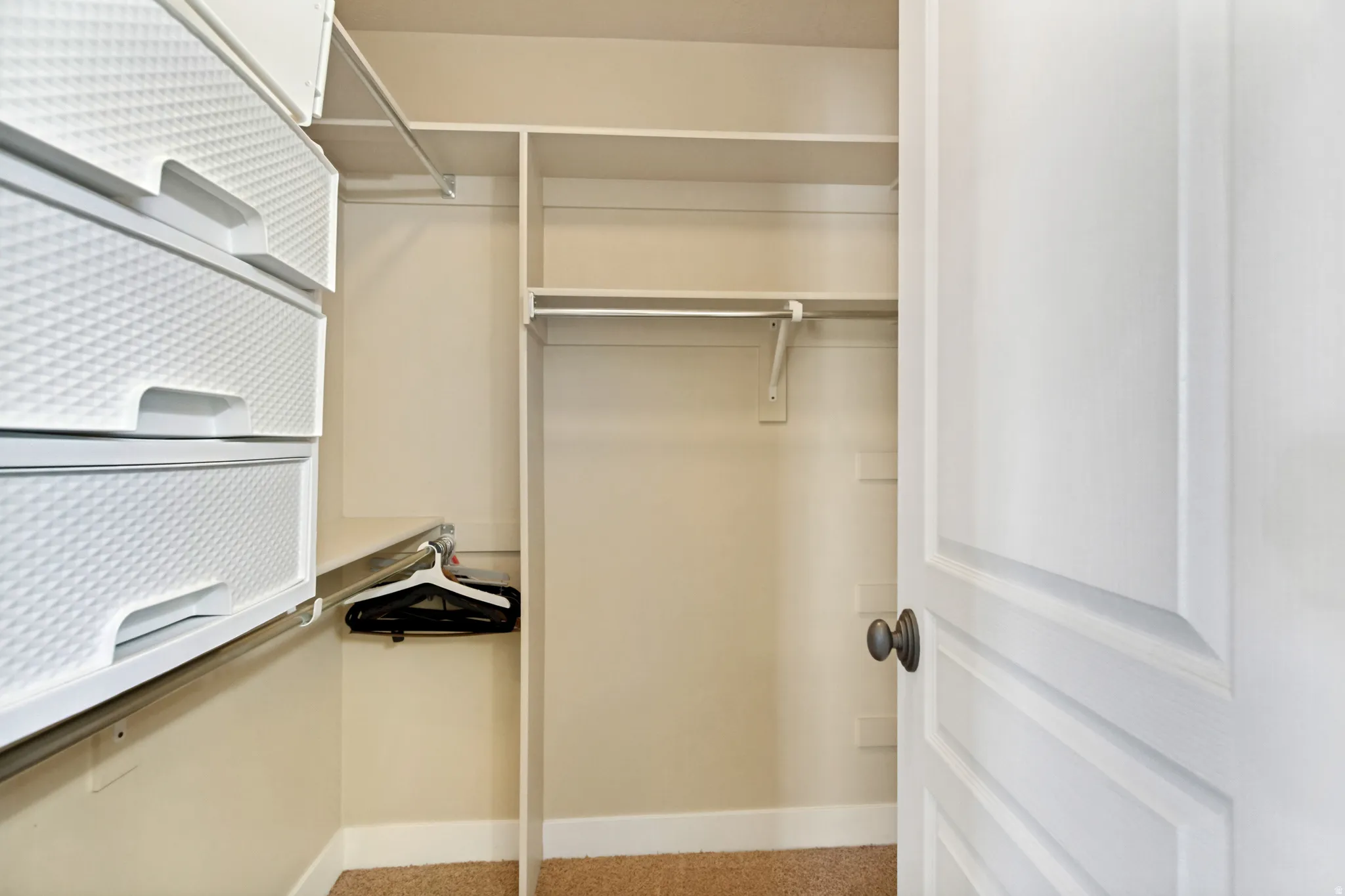 Built-in shelving, hanging rods, carpet flooring, and a paneled interior door with dark hardware
