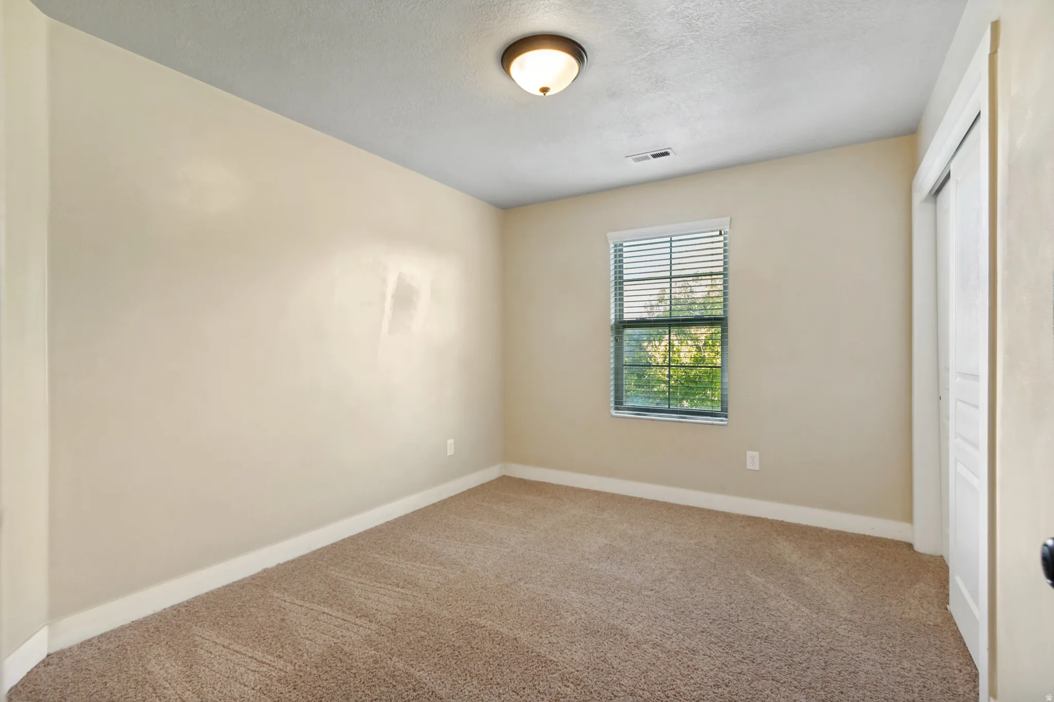 Wall-to-wall carpeting, neutral wall finishes, flush mount ceiling fixture, and a window with blinds