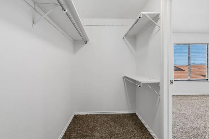 Walk-in closet with carpet flooring, white walls, built-in shelving, and hanging rods