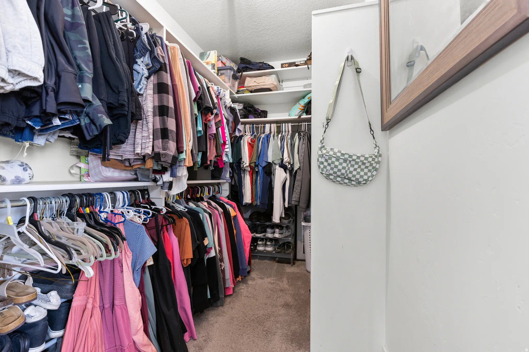 Walk-in closet featuring white built-in shelving, carpet flooring, and white painted walls