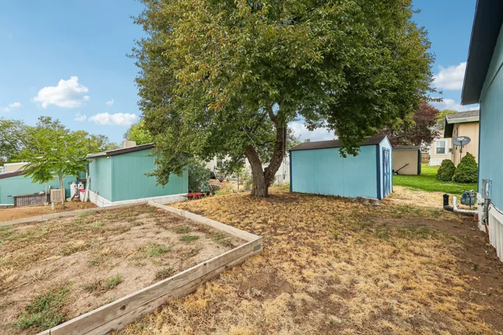Backyard featuring a mature tree, an elevated garden bed with wood retaining walls, and a blue storage shed