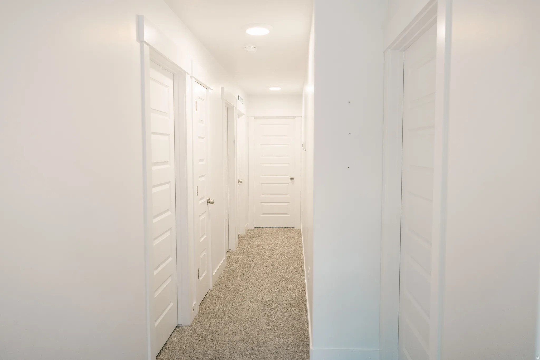 Hallway with recessed lighting, white paneled doors, and light-colored carpeting