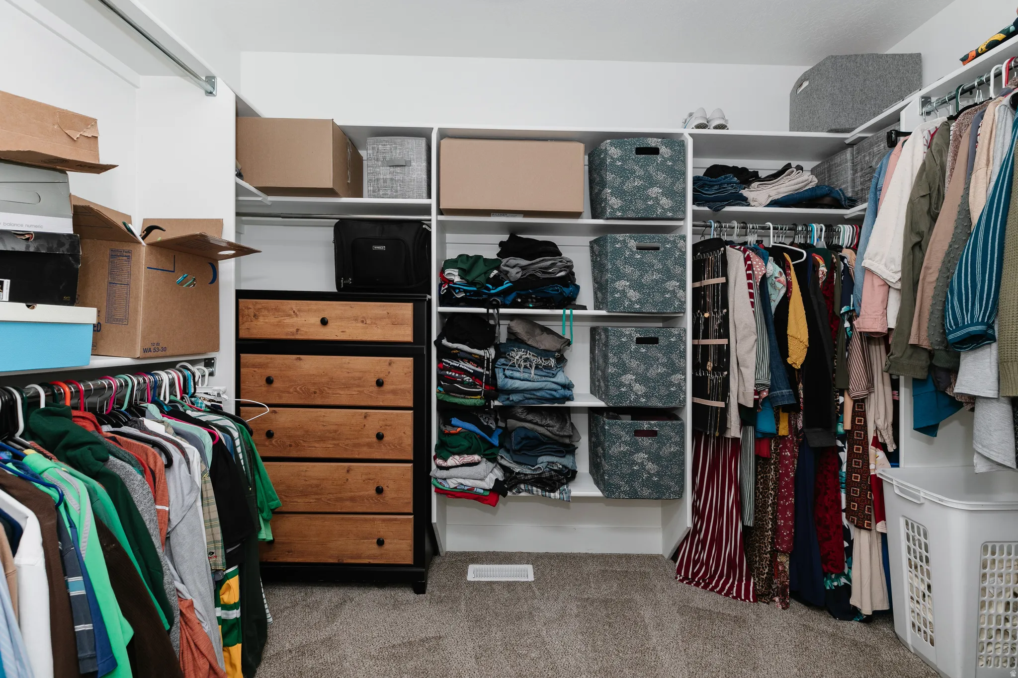 Walk-in closet with carpet flooring, built-in shelving, and hanging rods