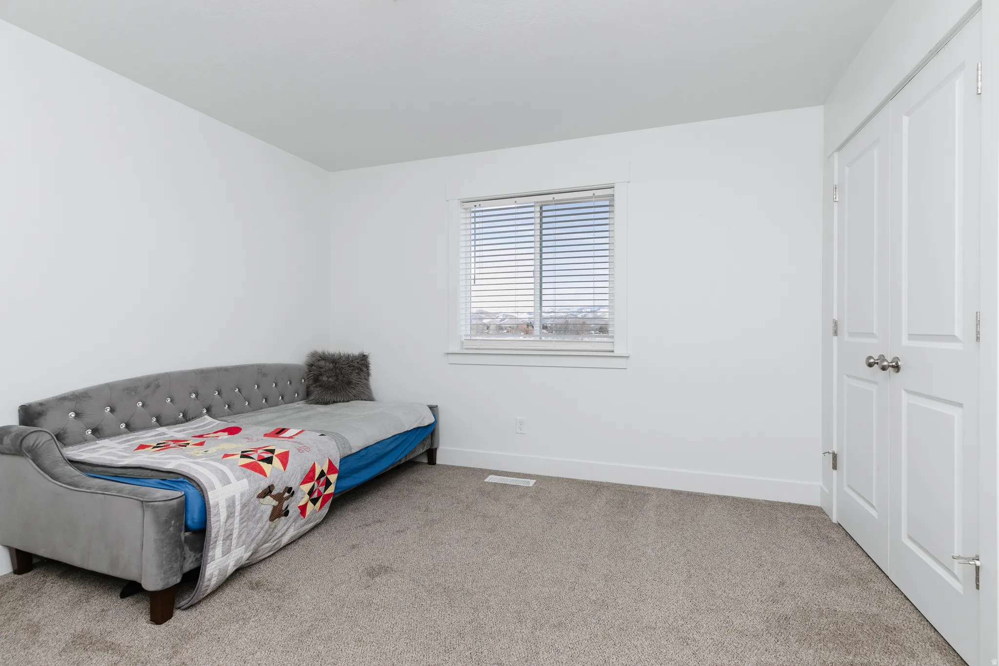 Light-colored carpeting, white wall finishes, a window with horizontal blinds, and a white paneled door with a silver-tone knob