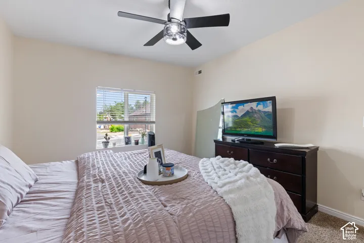 Main Bedroom. Big Windows throughout the house