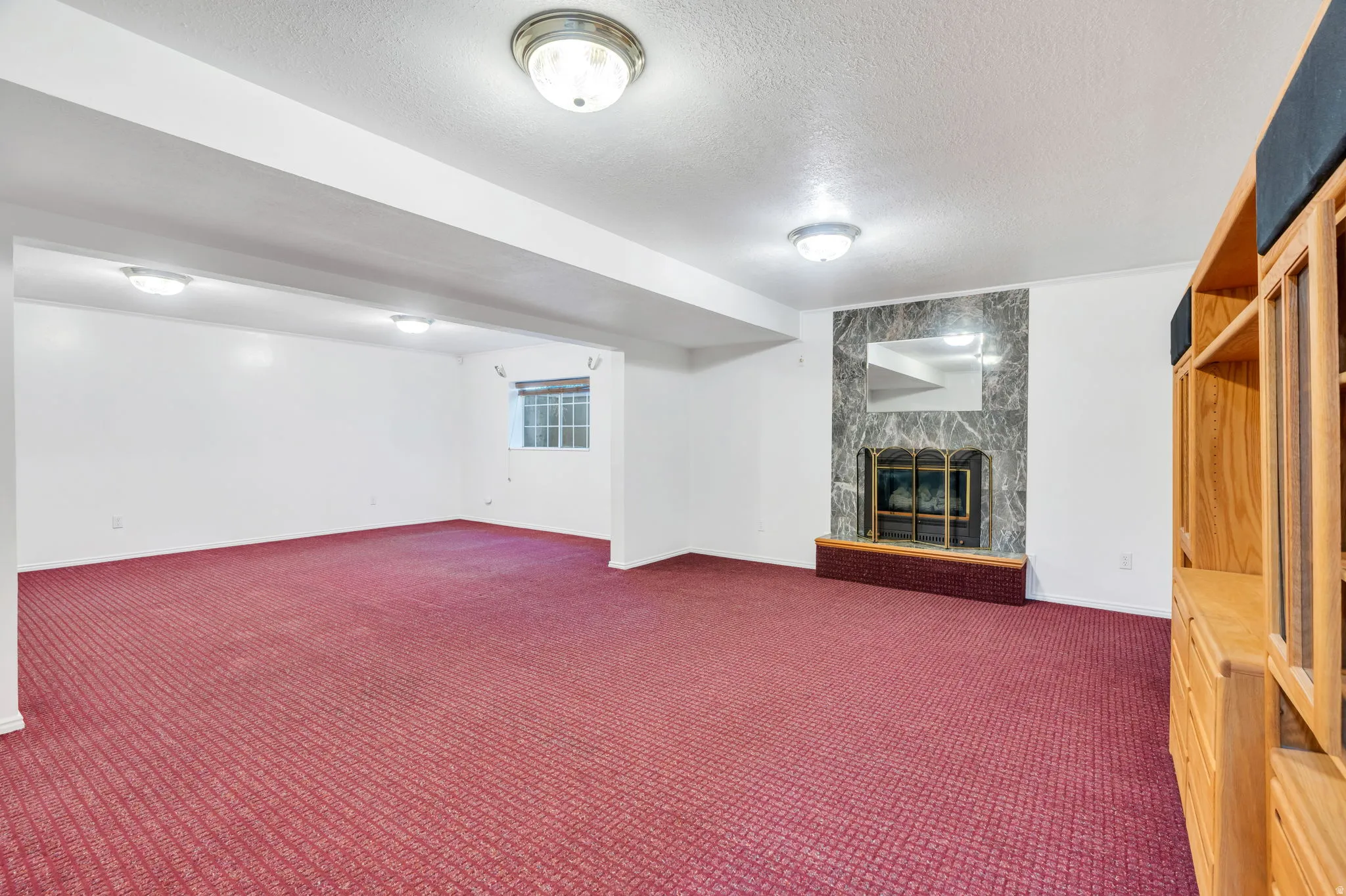 Basement: Spacious Great room with gas fireplace and a window!