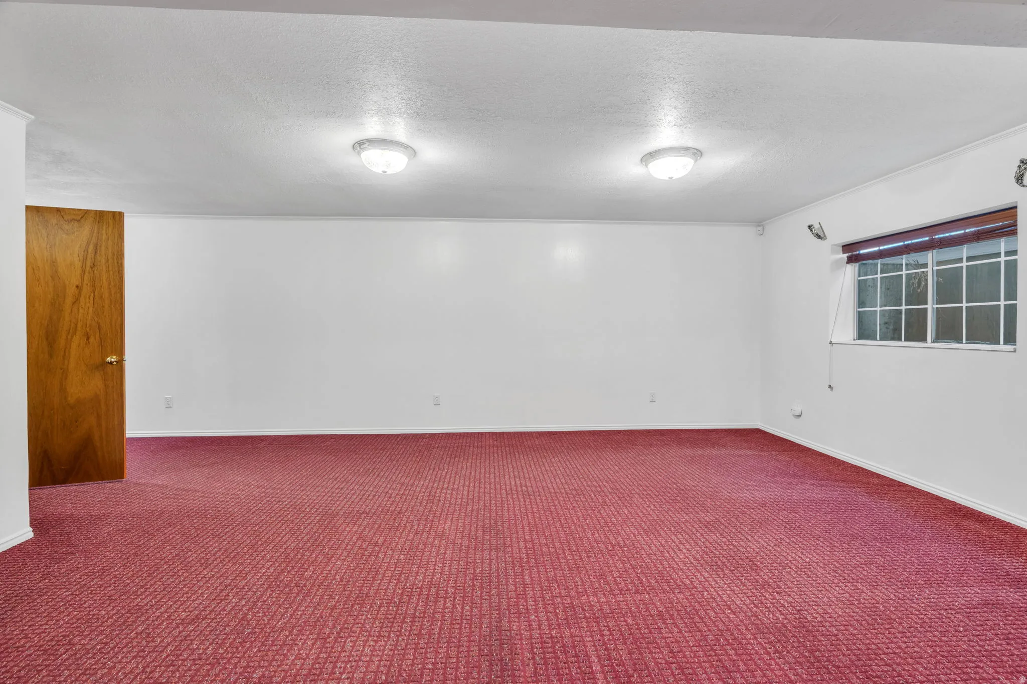 Basement: Expansive room featuring carpet flooring, white walls and a window with blinds