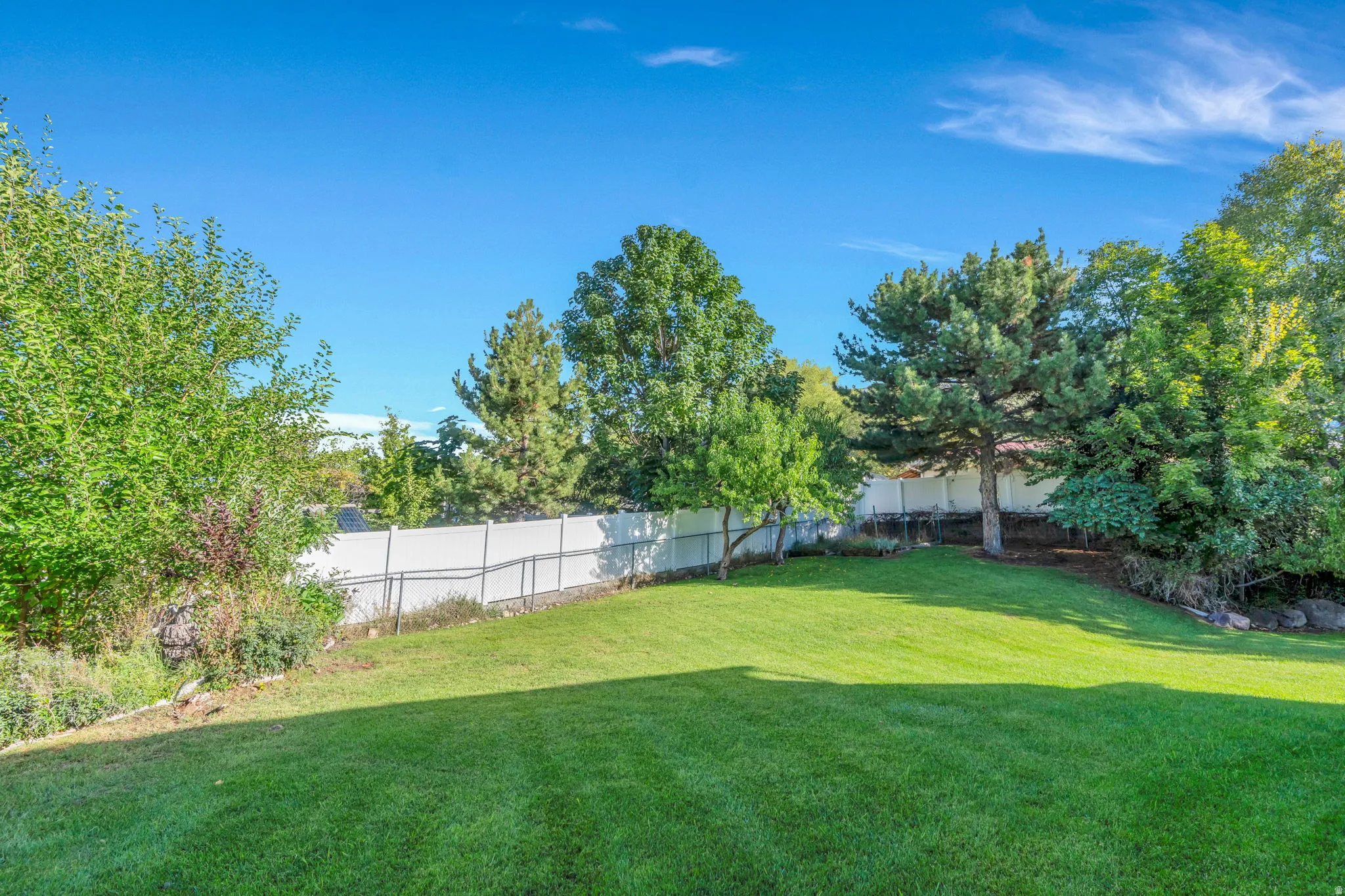 Large, secluded grassy yard featuring a white privacy fence and mature trees