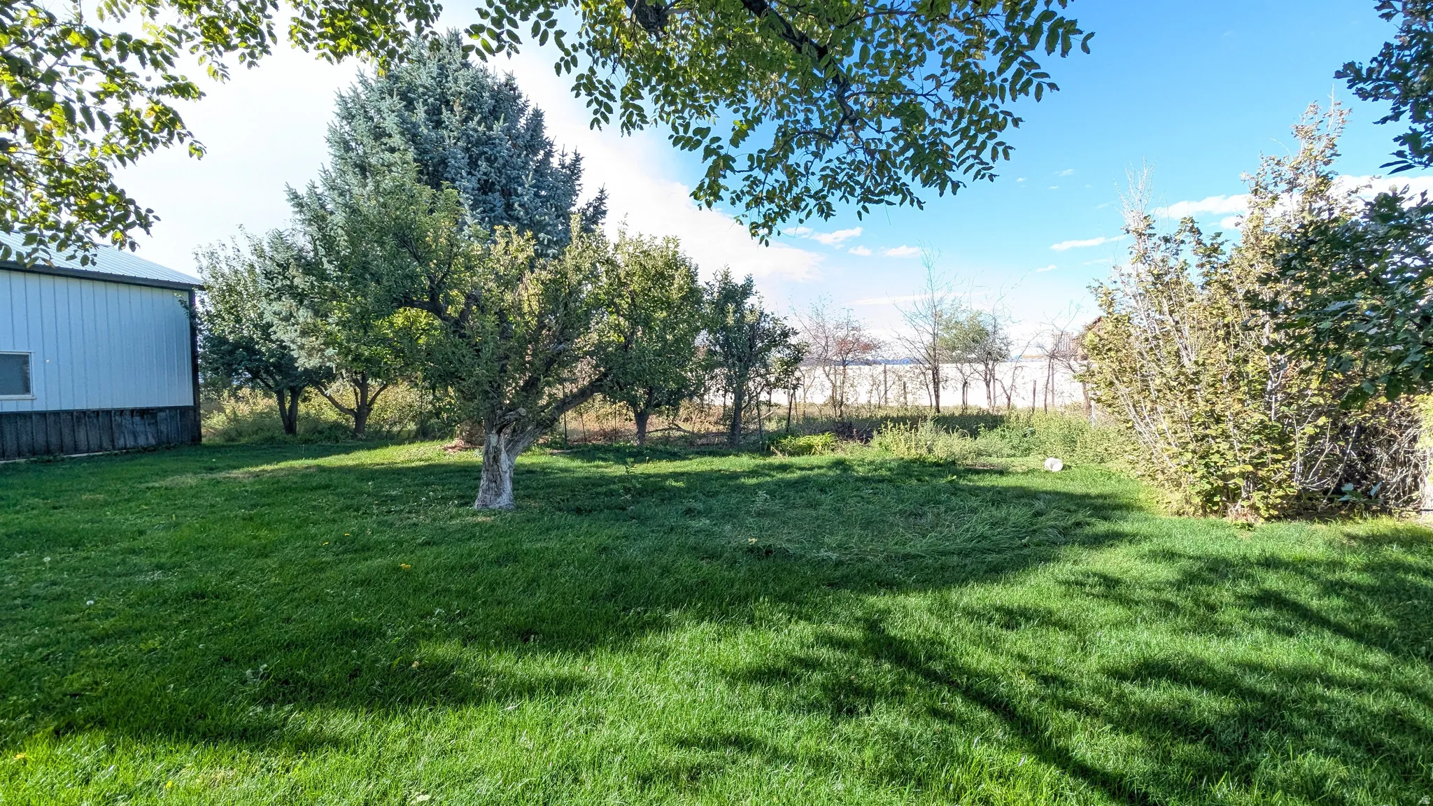 Expansive green lawn with mature trees and a detached structure featuring white siding