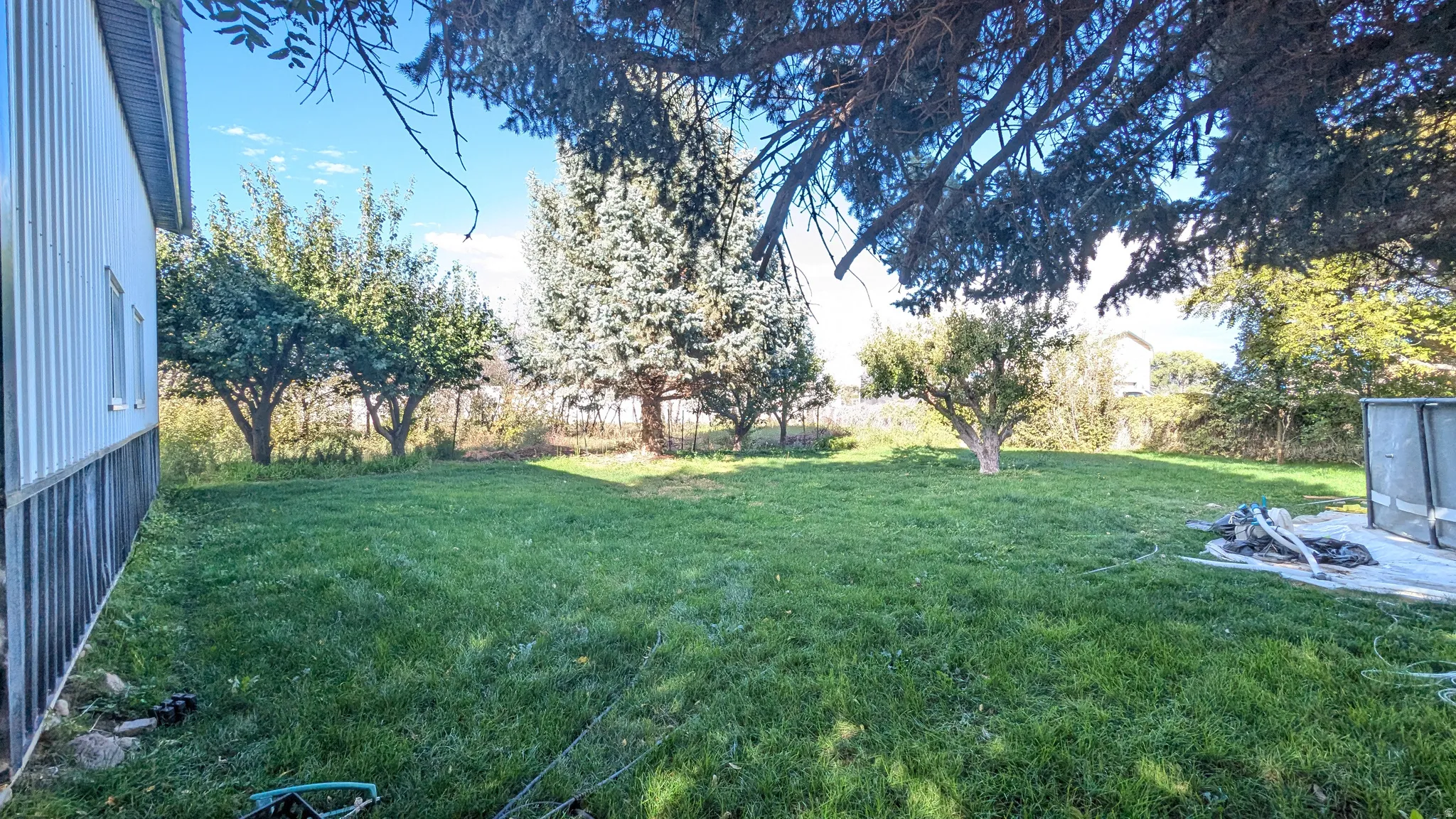 Expansive grassy area with mature trees and a structured outbuilding with corrugated siding