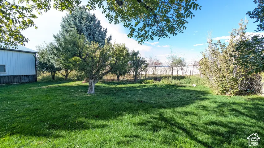 Expansive green lawn with mature trees and a detached structure featuring white siding