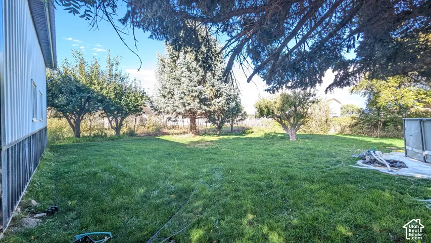 Expansive grassy area with mature trees and a structured outbuilding with corrugated siding