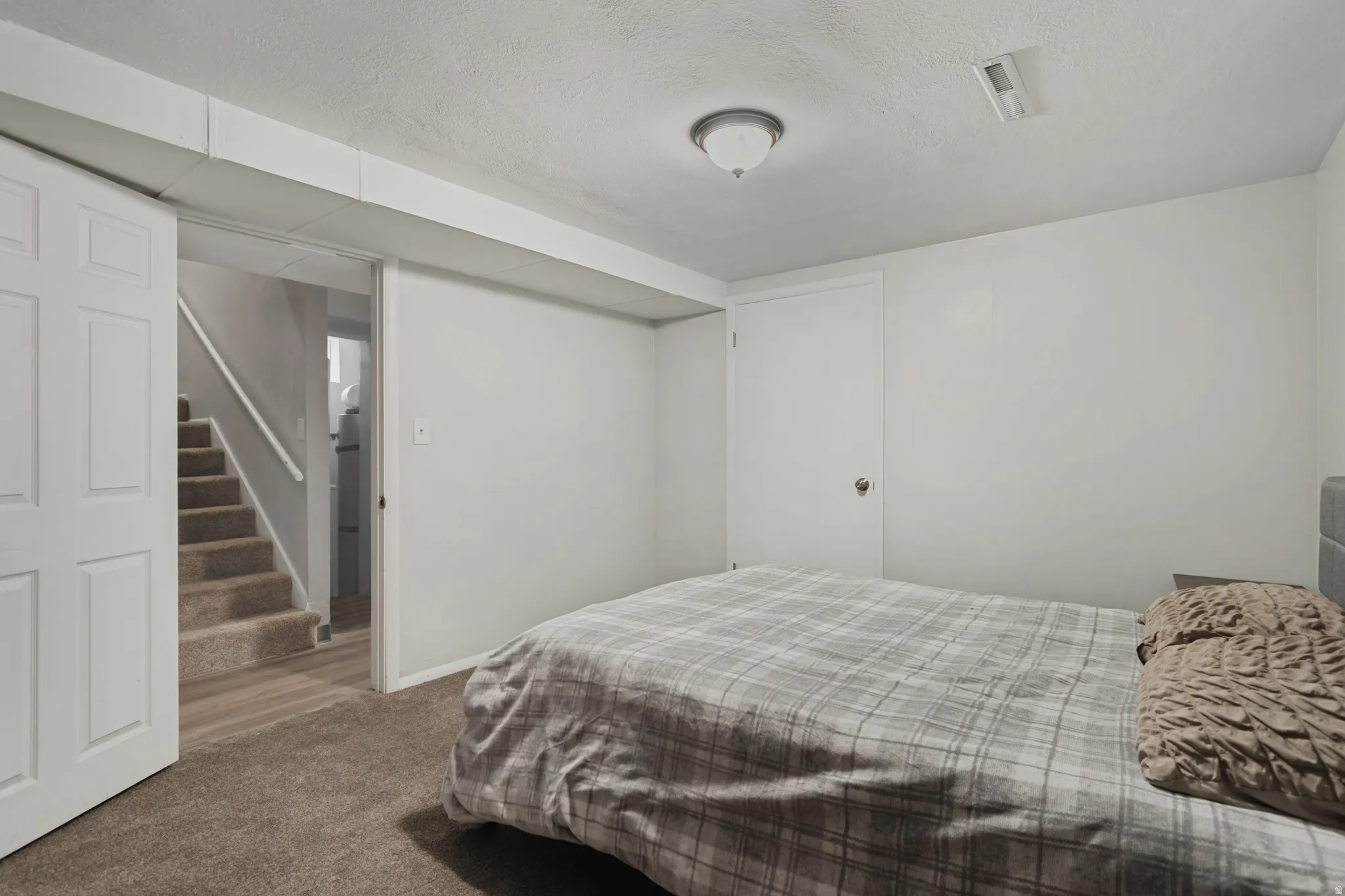 Carpeted flooring, painted walls, ceiling-mounted light fixture, and white doors