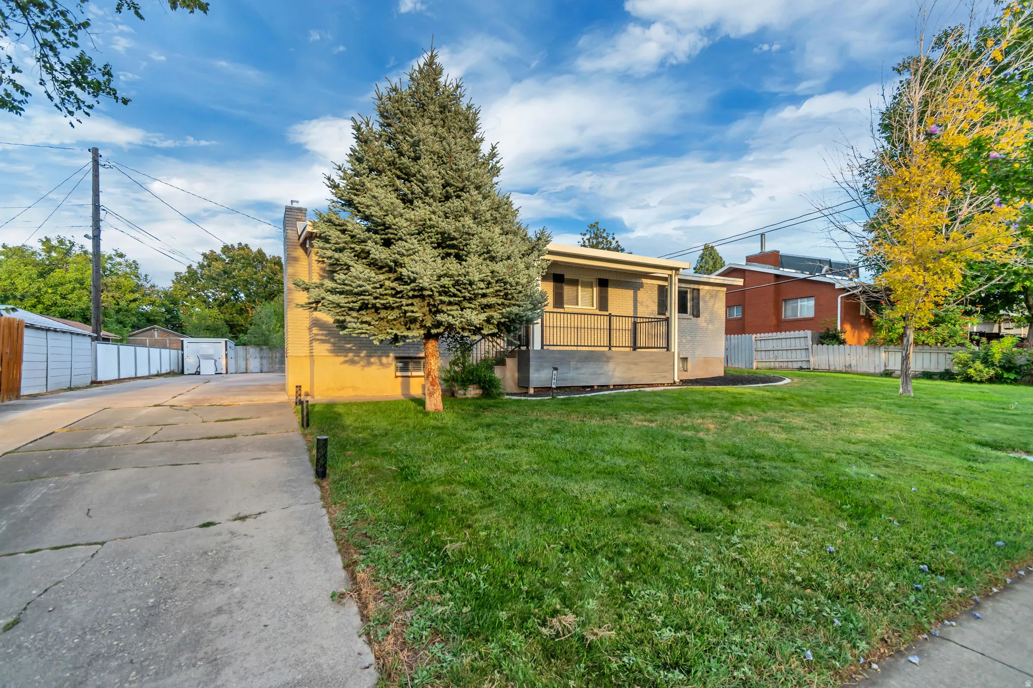 Spacious front lawn with mature evergreen trees, concrete driveway, and front porch with black metal railings