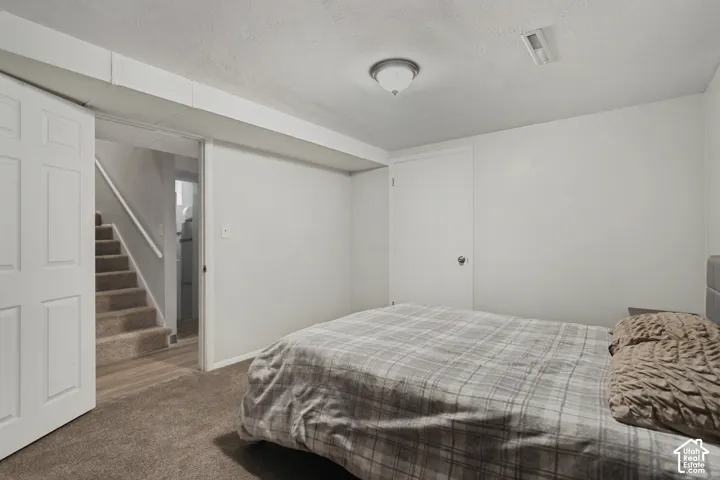 Carpeted flooring, painted walls, ceiling-mounted light fixture, and white doors