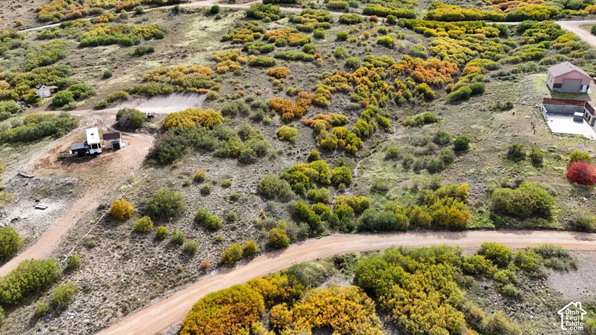 Expansive acreage featuring native brush, mature foliage, dirt access roads, and multiple structures
