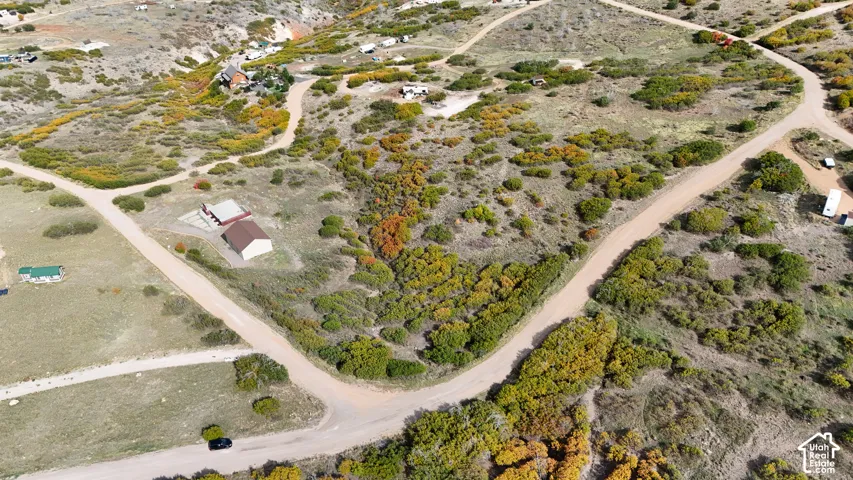 Expansive acreage featuring native shrubbery, mature trees, and natural terrain with gravel road access