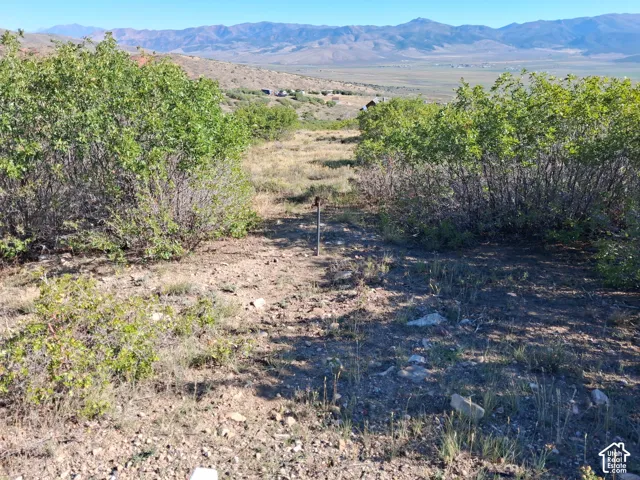 Expansive undeveloped lot featuring natural vegetation and distant mountain ranges