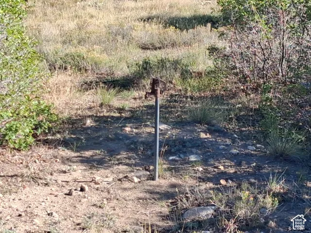 Expansive undeveloped lot featuring natural vegetation and distant mountain ranges