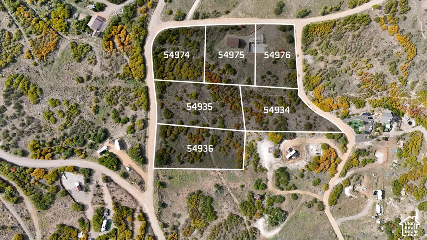 Parcel Map. Displaying the lot boundaries and numerical designations for the property