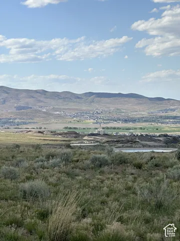 Expansive natural landscape with varied grasses and shrubs, featuring distant hills, a body of water, and a prominent building in the distance under a blue sky with clouds
