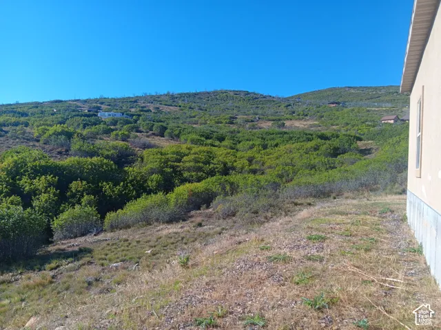Expansive hillside landscape featuring native vegetation and a backdrop of mountain terrain