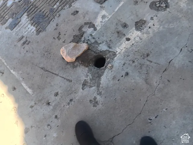 BASEMENT SEWER DRAIN LEADING TO SEPTIC