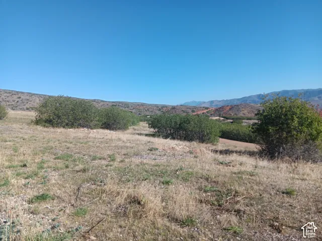Expansive lot featuring native grasses, mature shrubbery, and prominent mountain topography