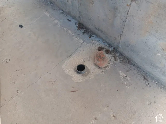 BASEMENT SEWER DRAIN LEADING TO SEPTIC