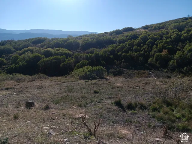 Expansive undeveloped lot featuring native grasses, mature shrubbery, rolling topography, and a mountainous backdrop