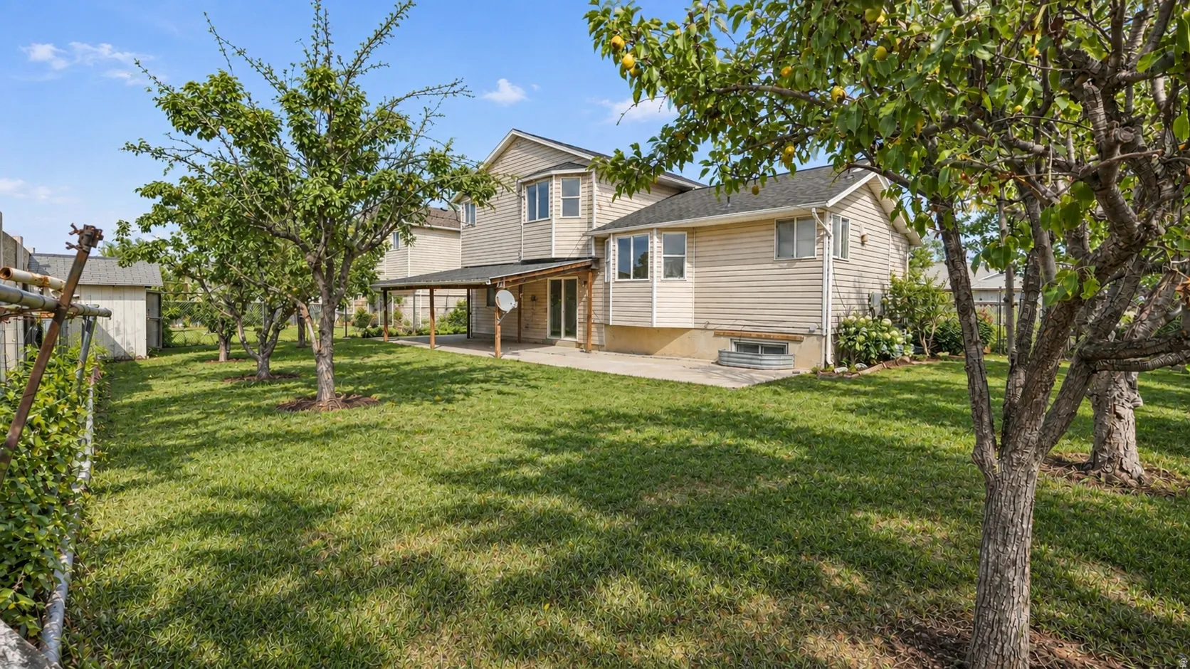 Expansive backyard featuring a manicured lawn, established trees, and a covered patio structure with a concrete surface