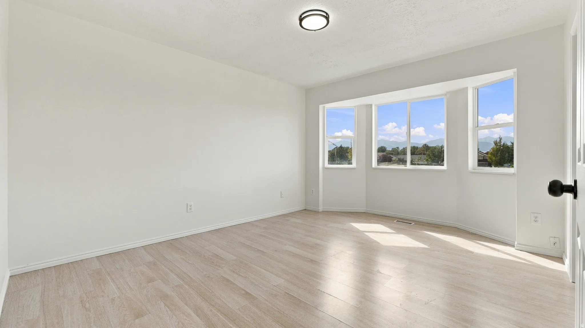 Light wood-finish flooring with a flush-mount ceiling light