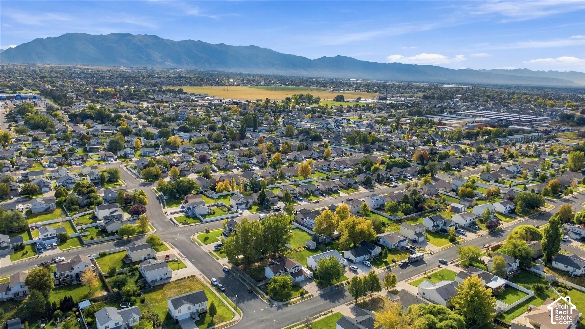 Residential neighborhood with established streets and mature trees, set against a backdrop of distant mountains