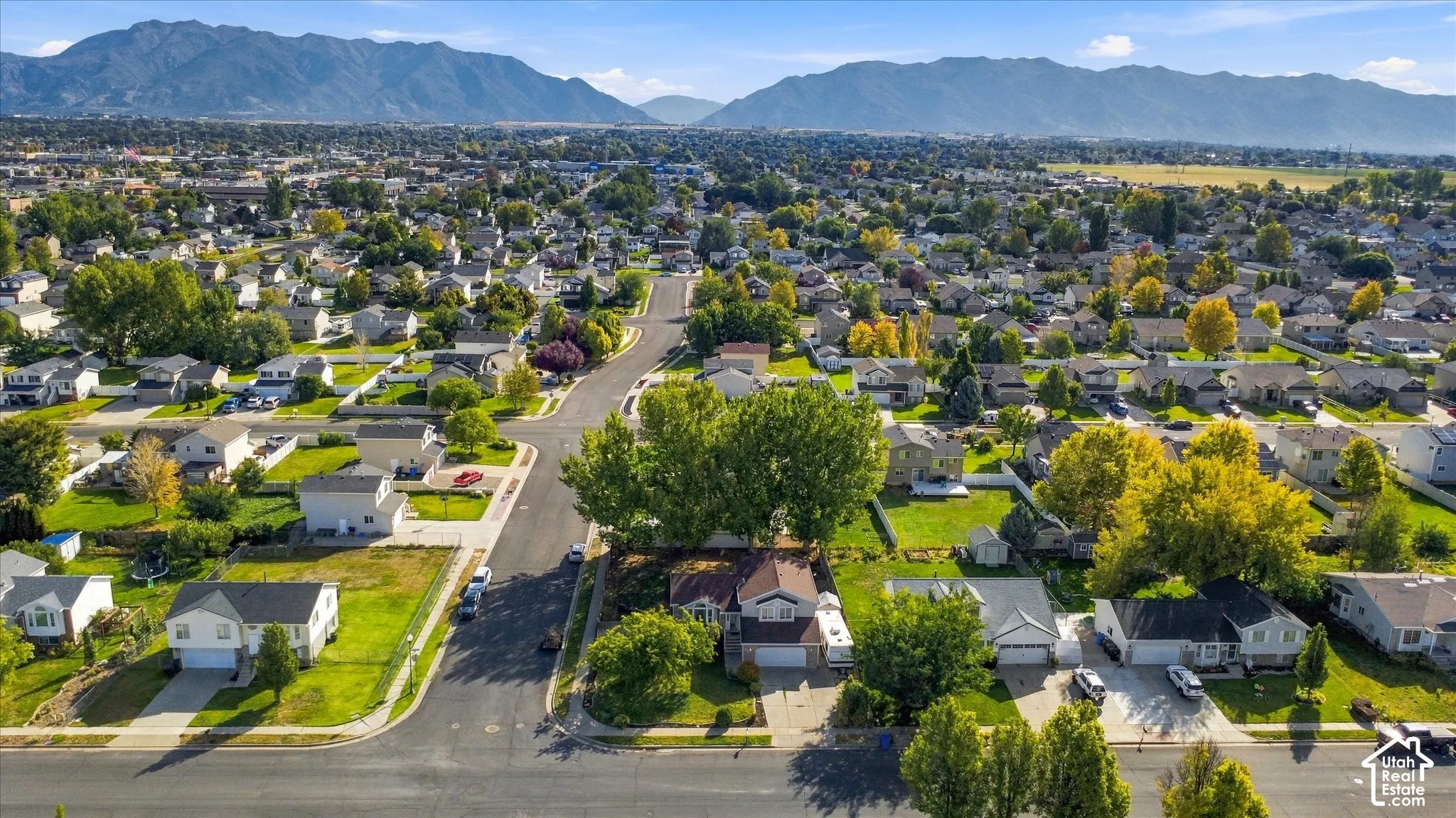 Residential neighborhood with mature trees and mountain backdrop