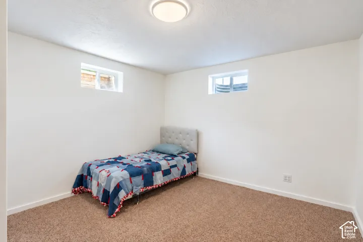 Recessed windows, neutral wall color, and carpeted flooring