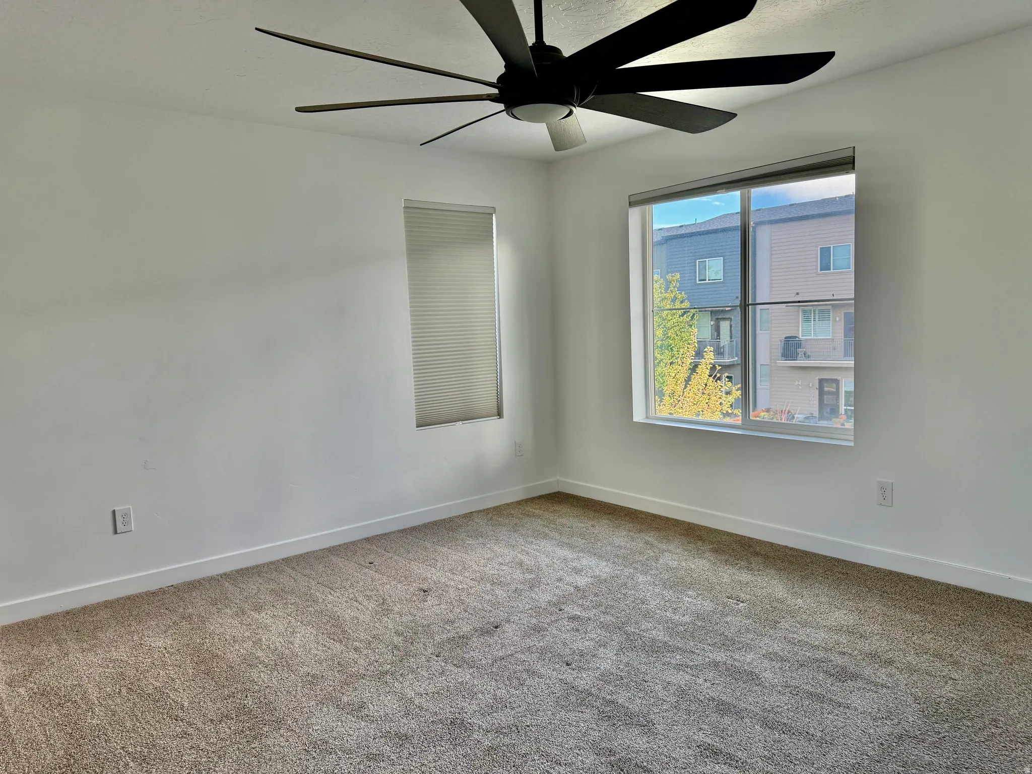 Bright interior space featuring a large window, a smaller window with blinds, a ceiling fan, and carpeted flooring