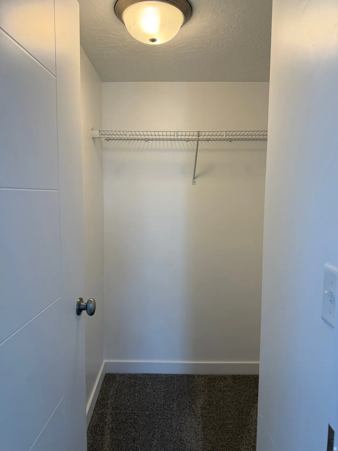 White interior door with dark hardware, overhead dome light fixture, wire shelving, and grey carpet flooring