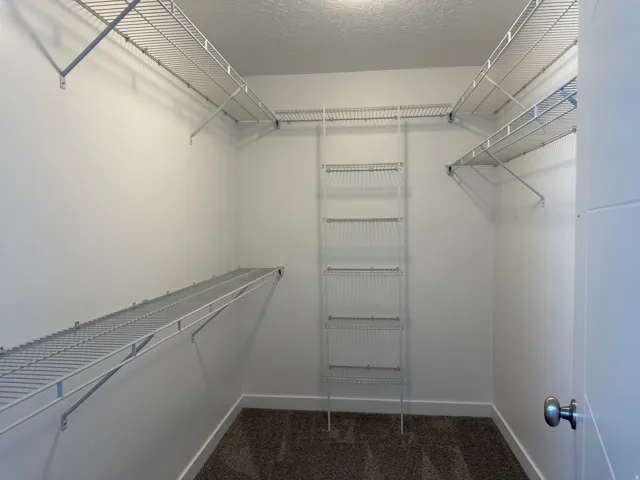 Walk-in closet with wire shelving, carpeted flooring, and a paneled door