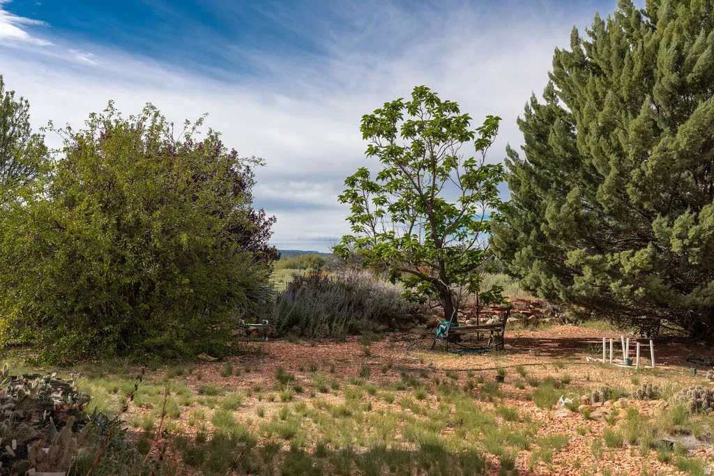 Expansive undeveloped lot with native vegetation and mature trees