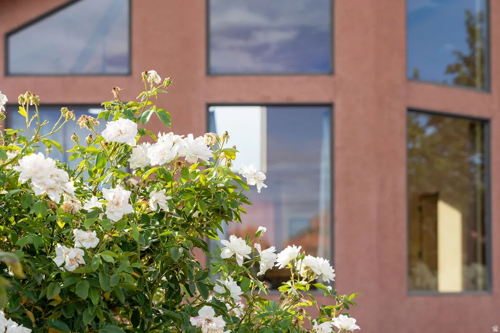 Modern brick exterior with expansive multi-pane windows featuring sky reflections and abundant natural light, complemented by mature flowering landscaping with white blooms and lush green foliage in the foreground