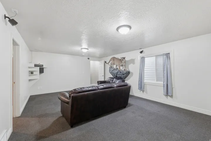 Built-in shelving unit, flush-mount ceiling lights, track lighting fixture, and window with a frosted privacy covering