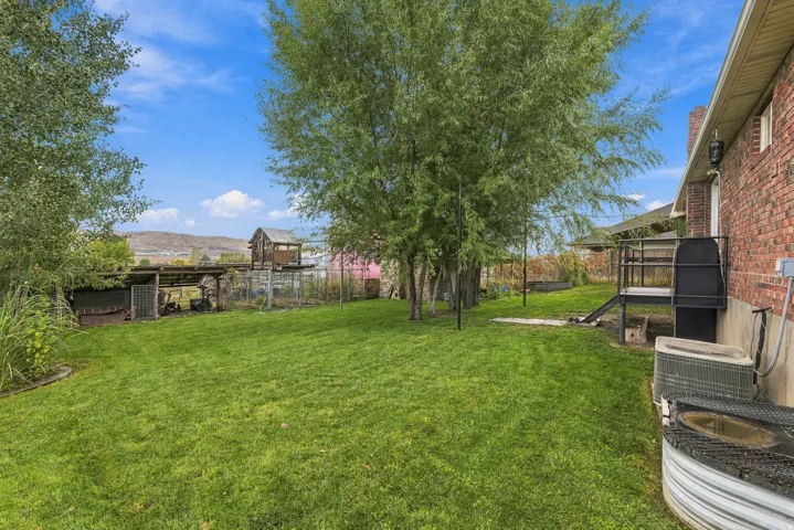 Expansive backyard with mature tree canopy, manicured lawn, and multiple outbuildings including a detached structure