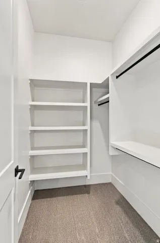 Built-in shelving, hanging rods, and neutral carpet flooring