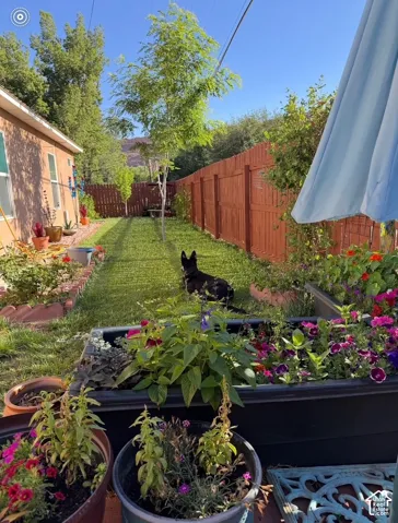 Expansive grassy yard with a privacy fence and garden beds