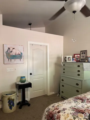 White interior door with dark hardware, accompanied by light-colored walls and a textured carpet