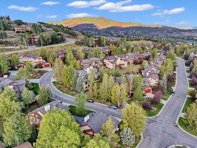 Mountainous terrain with lush, mature trees and paved roads