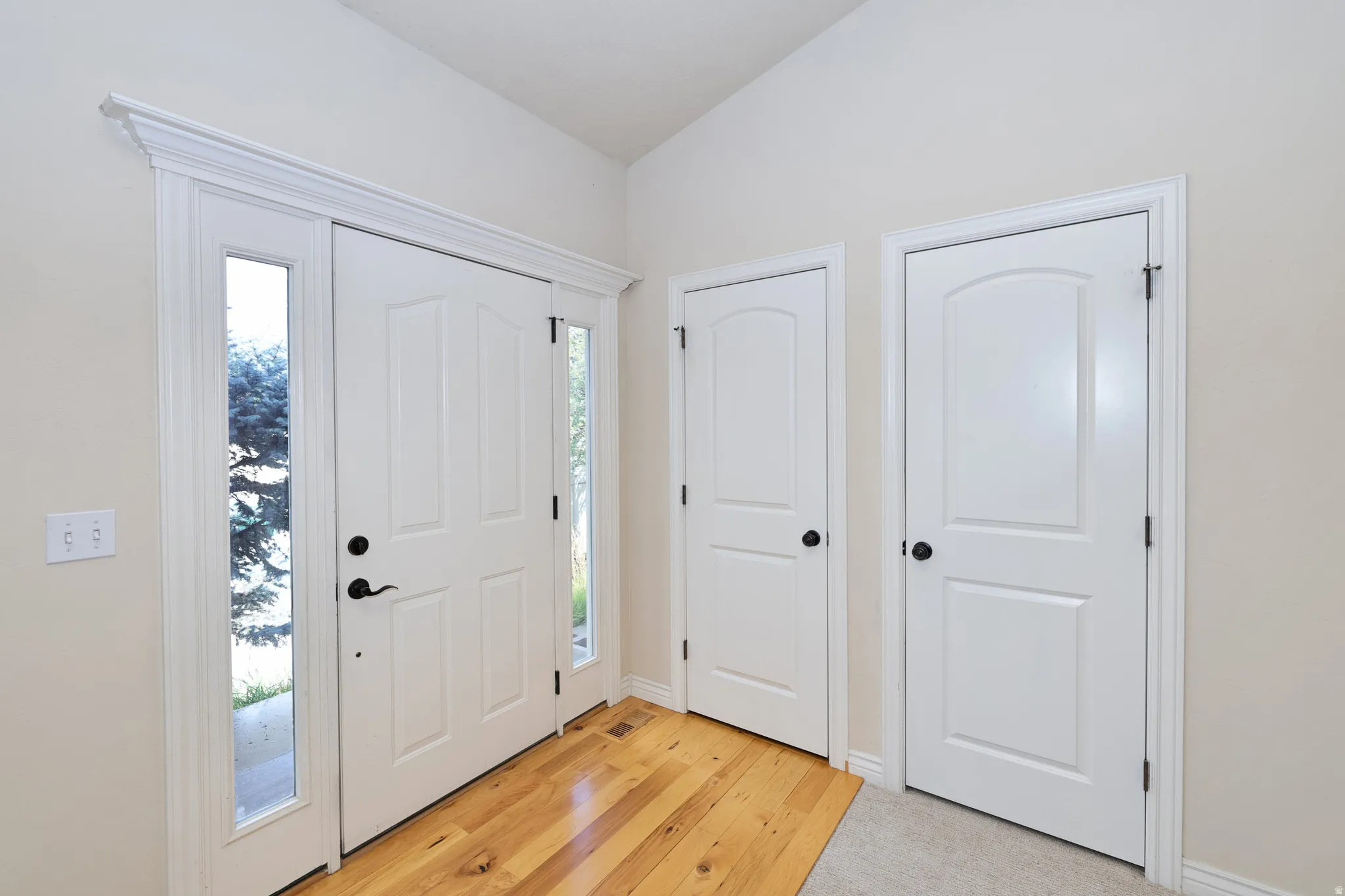Entryway featuring a white paneled door with sidelights, wood-finish flooring, and white trim